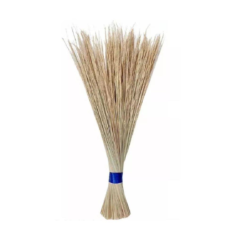 BROOM SPECIAL BANCI 600 GM